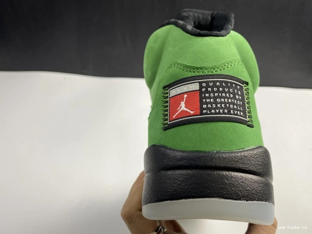 Rep SE Oregon 5 CK6631-307 Air Jordan Ducks 0818